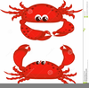 Free Clipart Of Crabs Image