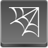 Spider Web Icon Image