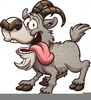 Clipart Old Goat Image