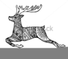 Cartoon Deer Stands Clipart Image