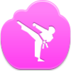 Karate Icon Image