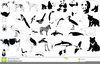 Clipart Animali Bianco E Nero Image