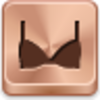 Bra Icon Image