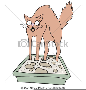 Clipart Cat Litter Image