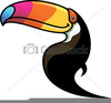 Beak Clipart Image