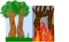 Bush Fires Clip Art