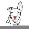 Pit Bull Cartoon Clipart Image