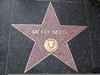 Hollywood Blvd Stars Image