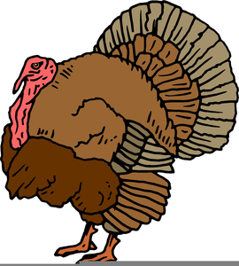 Animated Computer Clipart Image