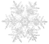 Snow Image