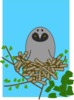 Otus Bird Clip Art