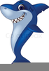 Cartoon Clipart Of Sharks Image