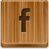 Facebook - Small Icon Image