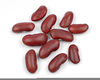 Pinto Bean Clipart Image