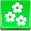 Flowers Icon Image