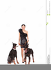 Doberman Clipart Image