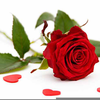 How Do I Remove The White Background From Clipart Image
