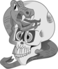 Skullb W Image