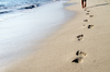 Free Footprint In The Sand Clipart Image