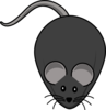 B6 Obese Mice Clip Art