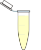 Beige Ependorf Clip Art