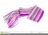 Scarf White Background Image