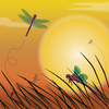 Dragonfly Sunset Background Image