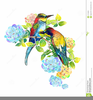 Animation Clipart Birds Image
