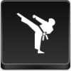 Karate Icon Image