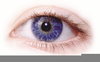 Clipart Of Eye Image