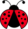 Cute Bug Clipart Image