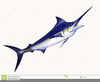 Blue Marlin Clipart Free Image