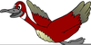 Clipart Duck Image