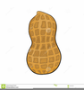 No Peanut Clipart Image