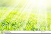 Free Clipart Sunshine Background Image