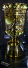 Dfb Pokal Trophy Image