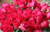 Bouquet Of Roses Image