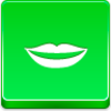 Hollywood Smile Icon Image