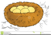 Bird Leaving Nest Clipart Image