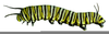 Caterpillars Clipart Image