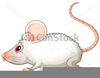 Clipart Mice Image