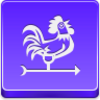 Weathercock Icon Image