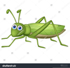 Cartoon Grasshopper Clipart Image