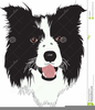 Cartoon Border Collie Clipart Image