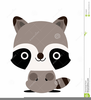 Cute Raccoon Clipart Image