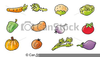 Peppers Clipart Image