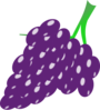 Grapes Clip Art