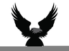 Black And White Bald Eagle Clipart Image