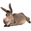 Donkey 2 Icon Image