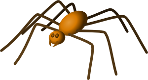 Spider  Clip Art